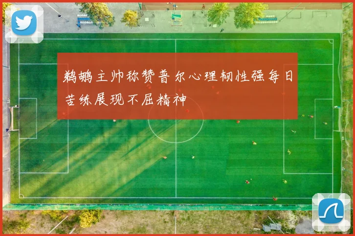 鹈鹕主帅称赞普尔心理韧性强每日苦练展现不屈精神