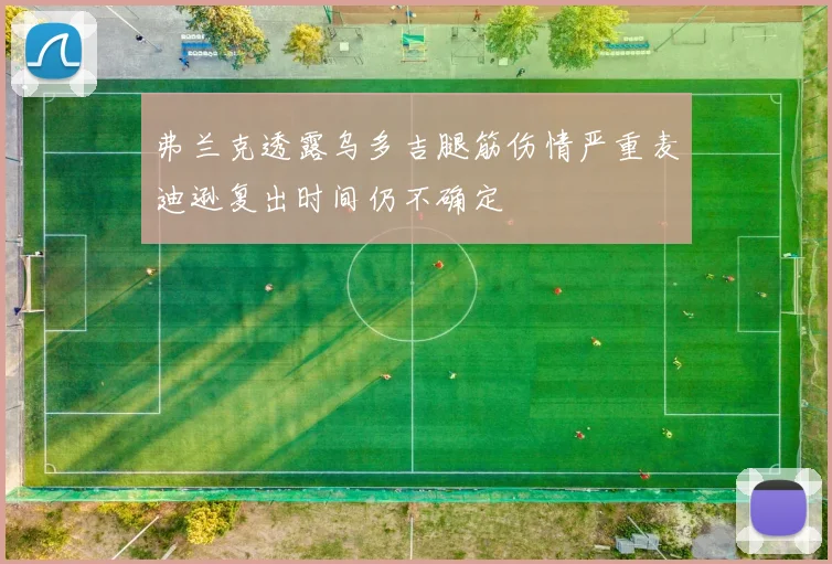 弗兰克透露乌多吉腿筋伤情严重麦迪逊复出时间仍不确定