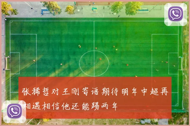 张稀哲对王刚寄语期待明年中超再相遇相信他还能踢两年